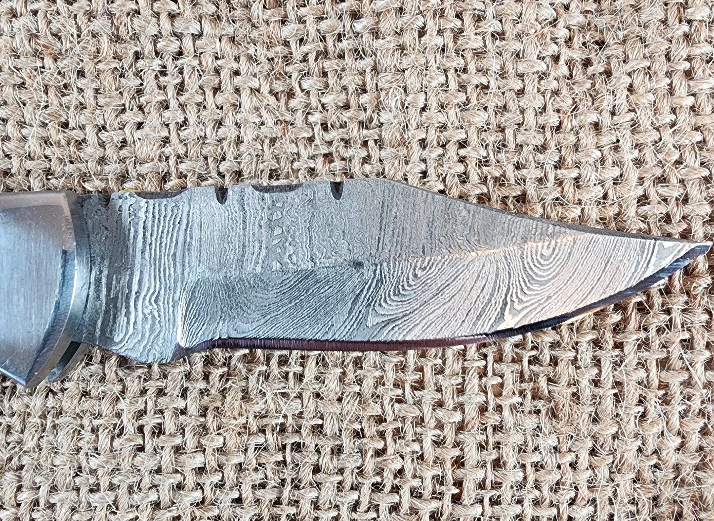 2 7/8" Ram Horn Damascus Folding Knife #59
