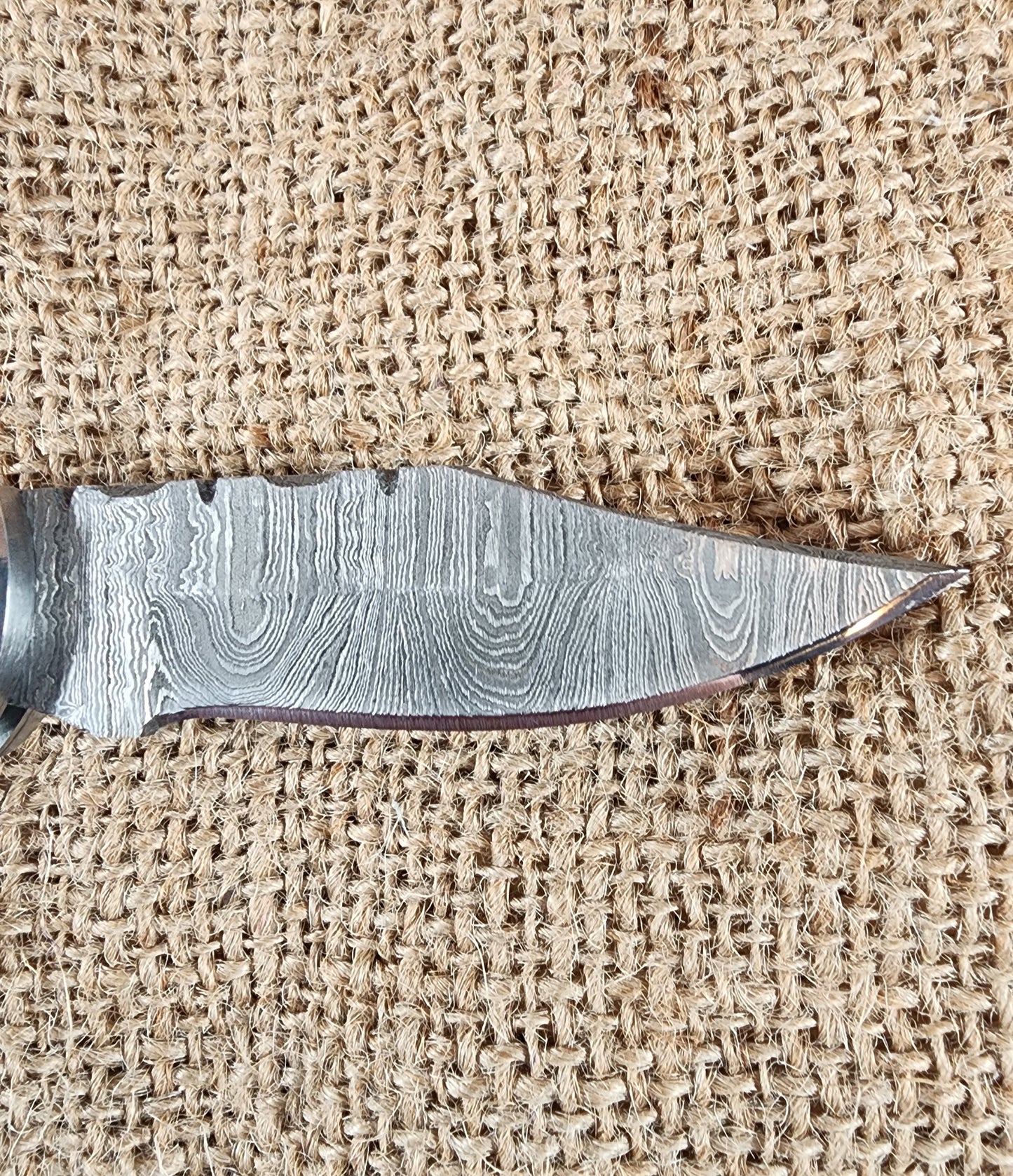 2 7/8" Ram Horn Damascus Folding Knife #67