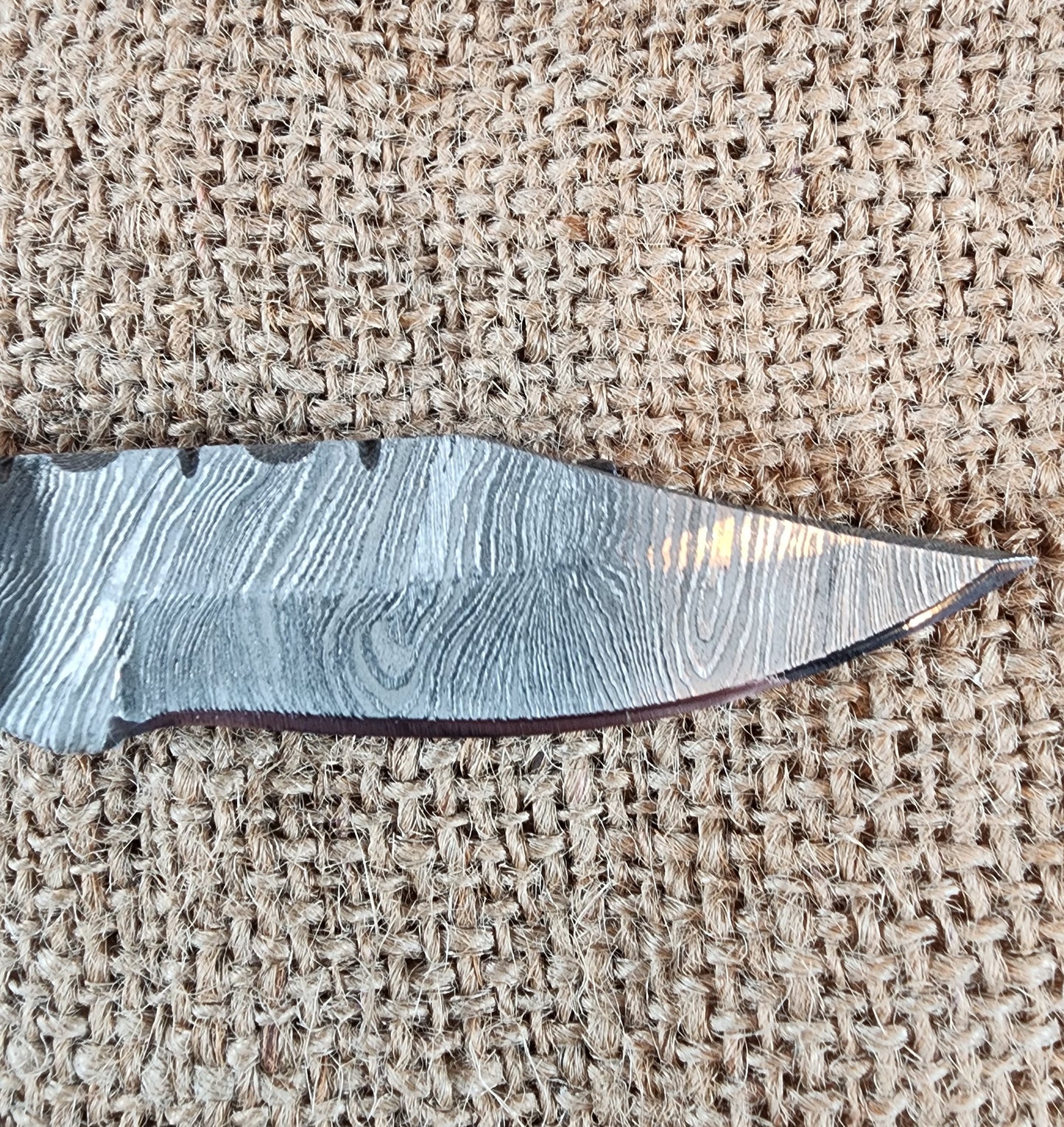 2 7/8" Ram Horn Damascus Folding Knife #80