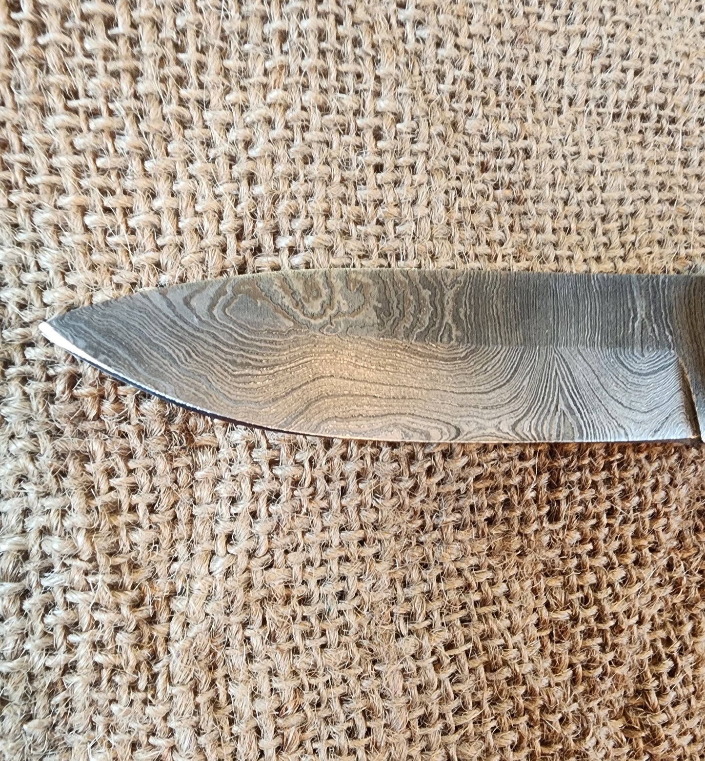4" Damascus Drop Point #37