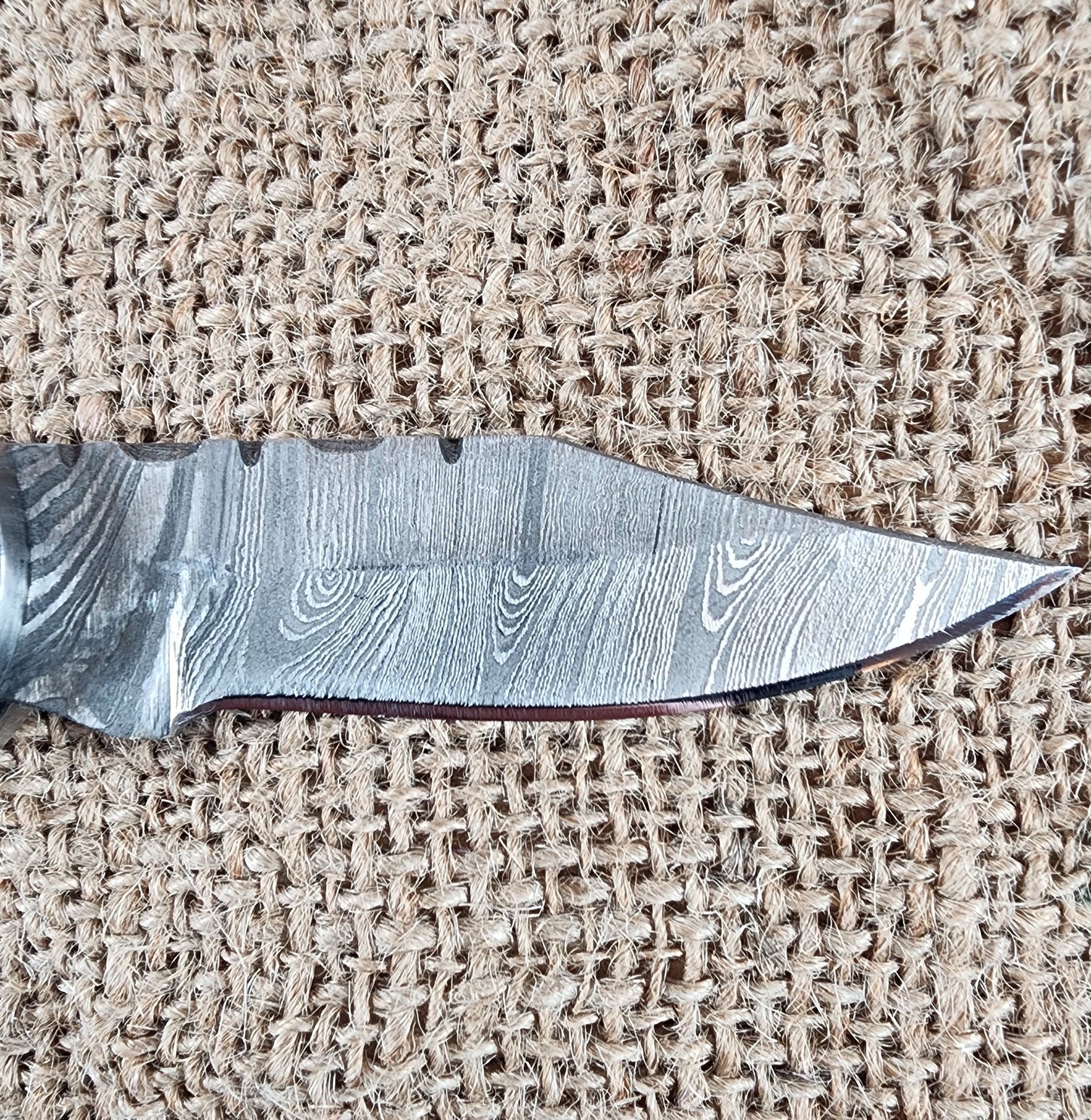2 7/8" Ram Horn Damascus Folding Knife #65