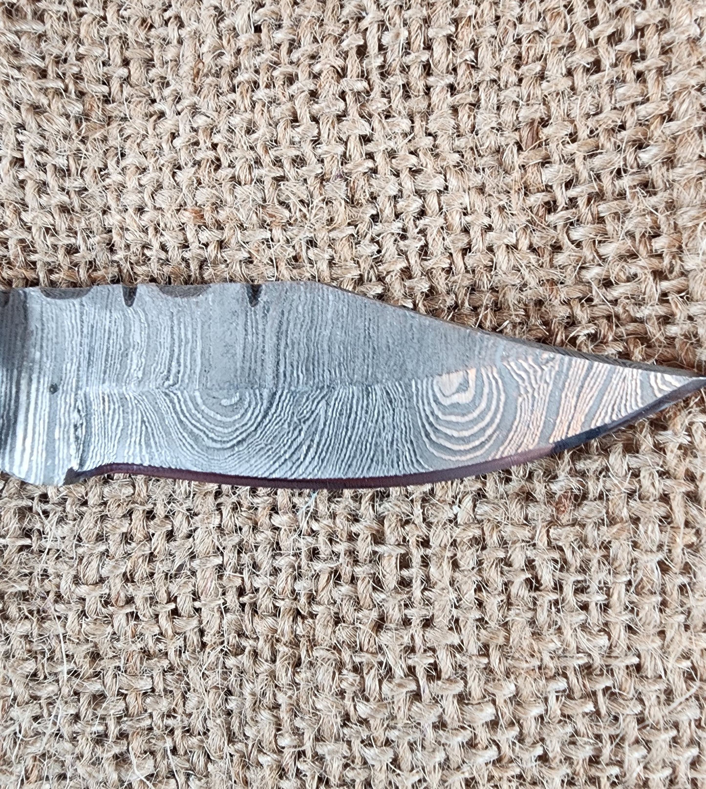 2 7/8" Ram Horn Damascus Folding Knife #74