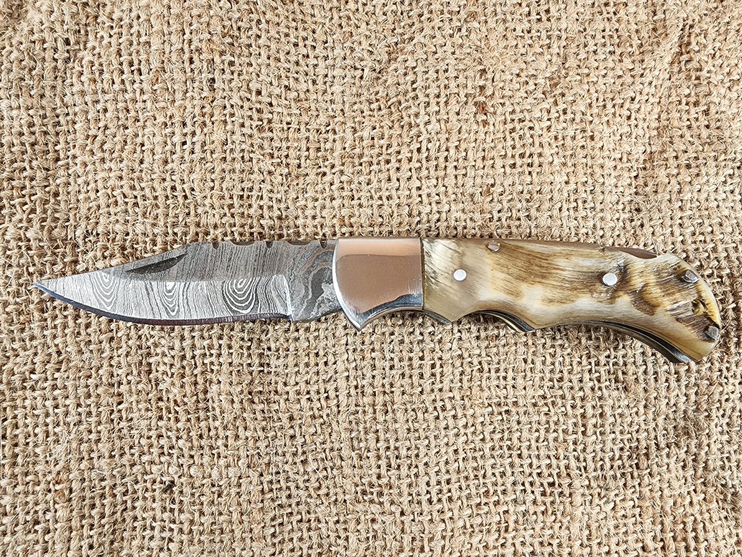 2 7/8" Ram Horn Damascus Folding Knife #71