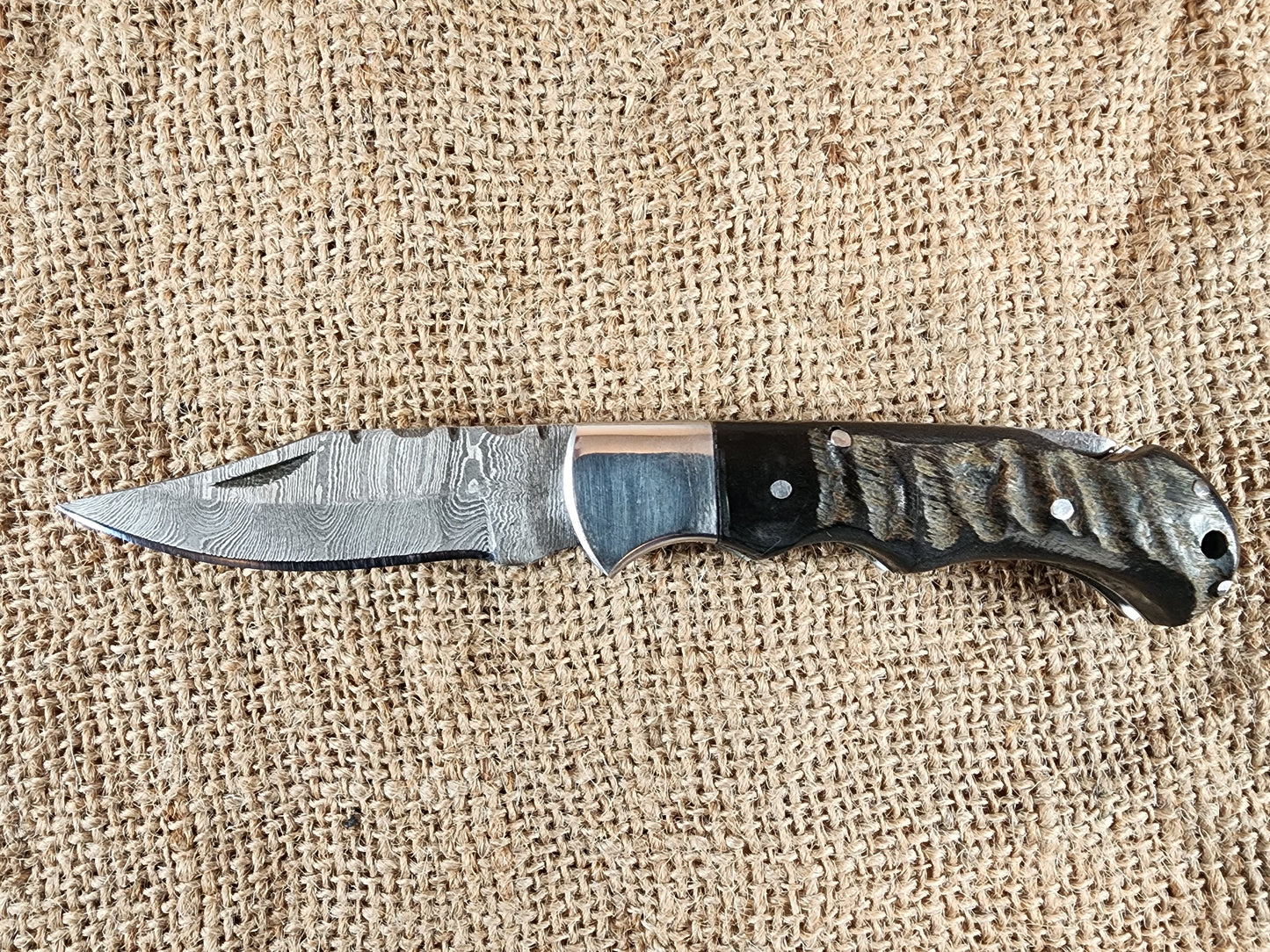 2 7/8" Ram Horn Damascus Folding Knife #70