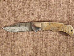 3" Ram Horn Damascus Folder H07