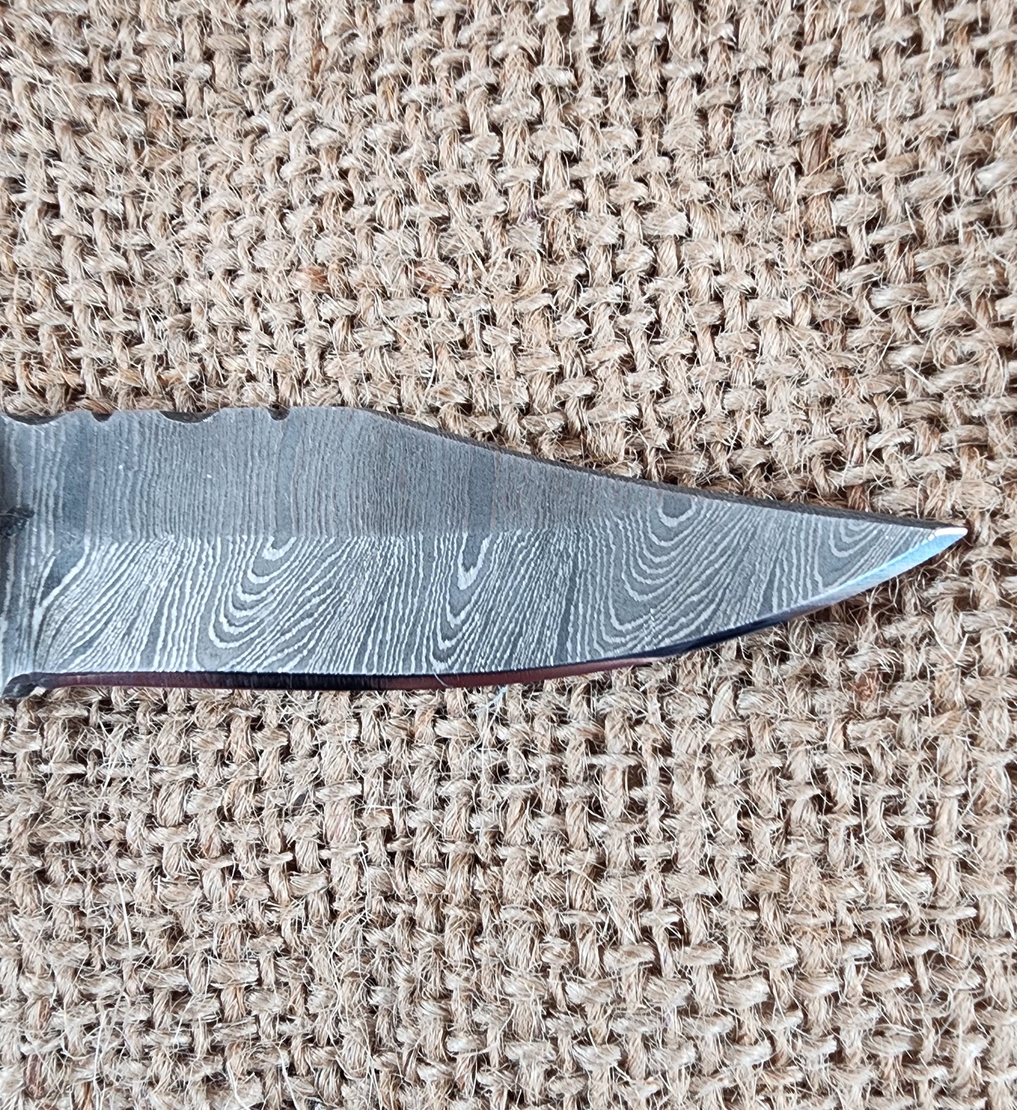 2 7/8" Ram Horn Damascus Folding Knife #73