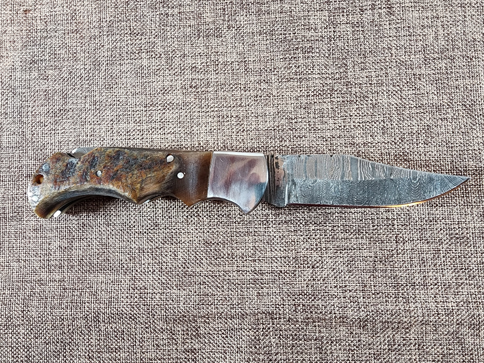 Ram Horn Damascus Folder #146