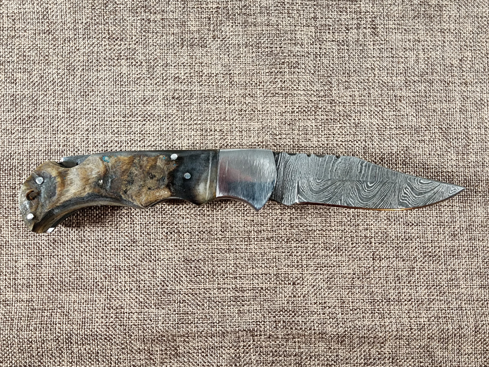 Ram Horn Damascus Folder #144