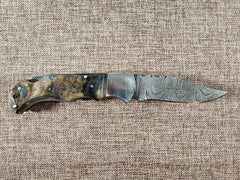 Ram Horn Damascus Folder #144