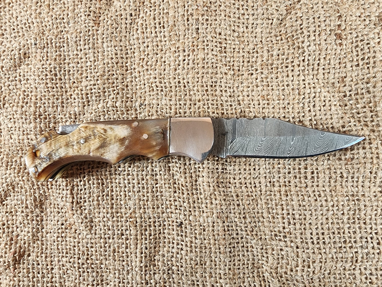 2 7/8" Ram Horn Damascus Folding Knife #73