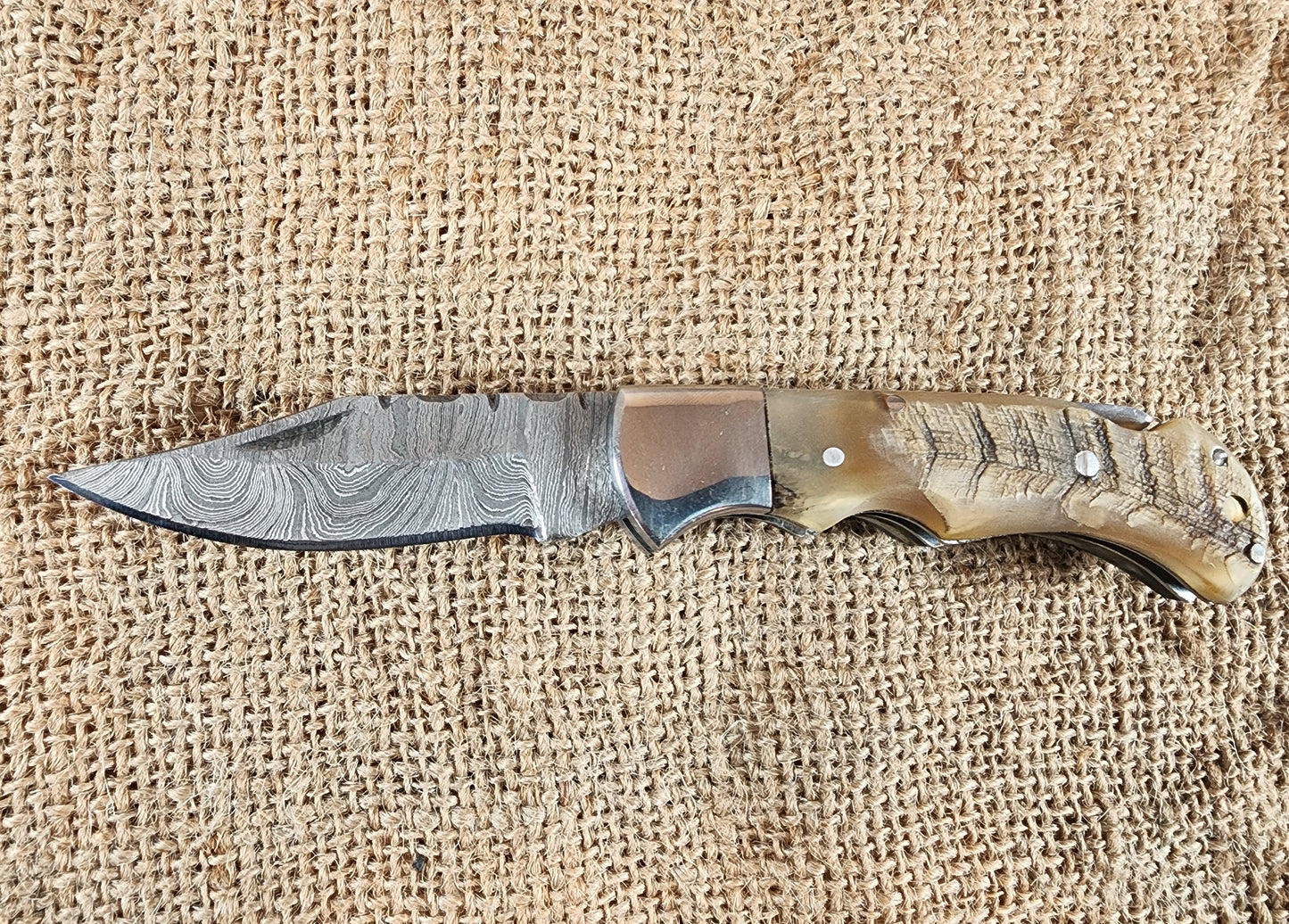 2 7/8" Ram Horn Damascus Folding Knife #67