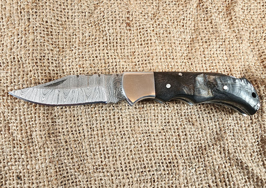2 7/8" Ram Horn Damascus Folding Knife #76