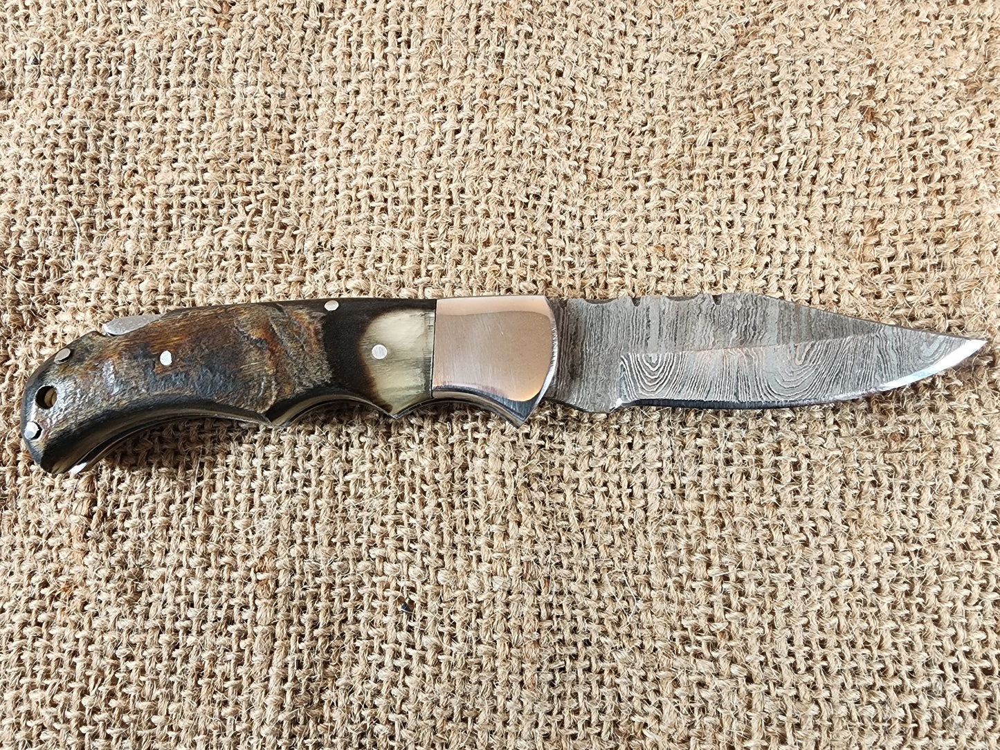 2 7/8" Ram Horn Damascus Folding Knife #77