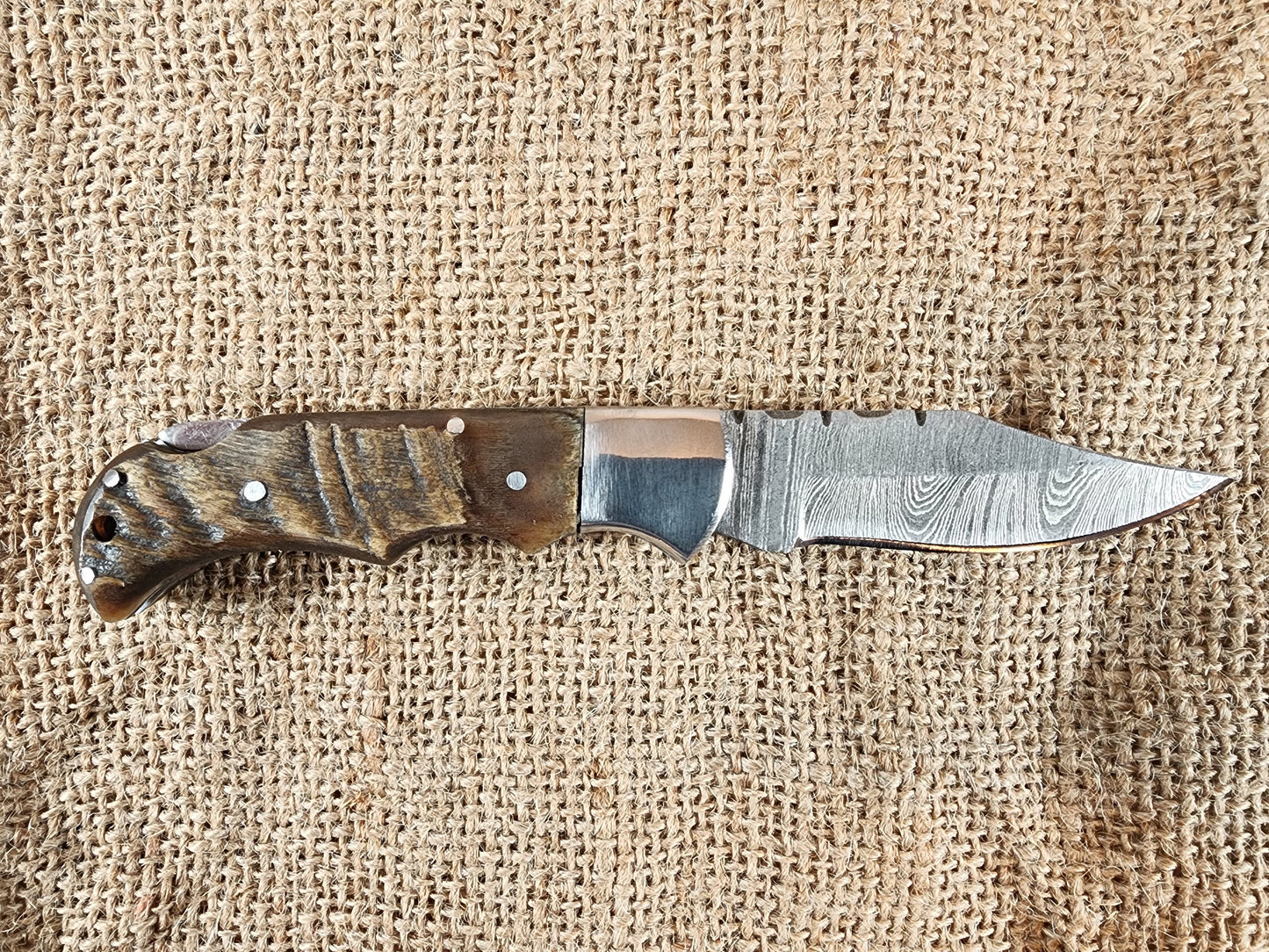 2 7/8" Ram Horn Damascus Folding Knife #62