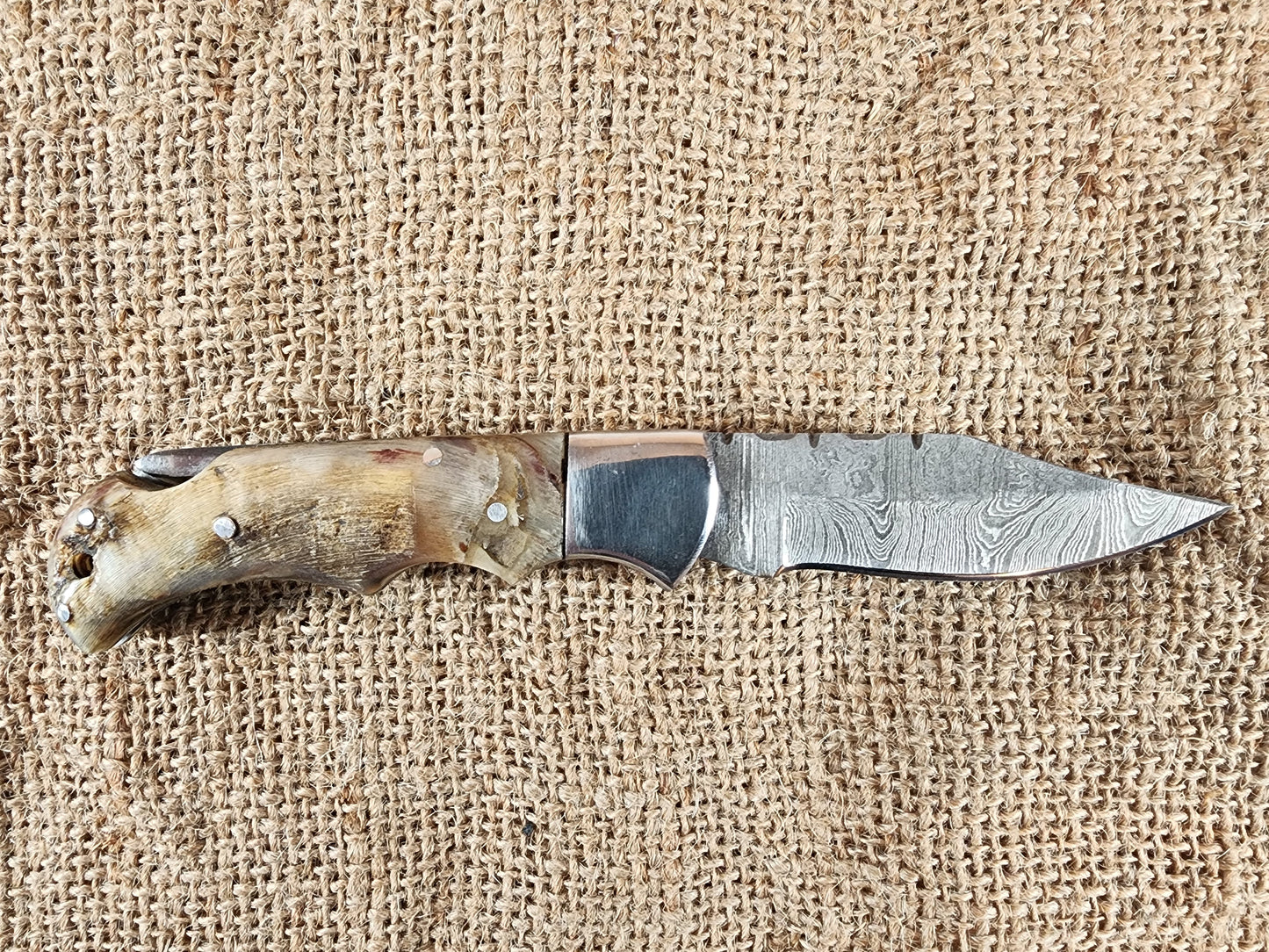 2 7/8" Ram Horn Damascus Folding Knife #68