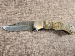 3" Ram Horn Damascus Folder H09