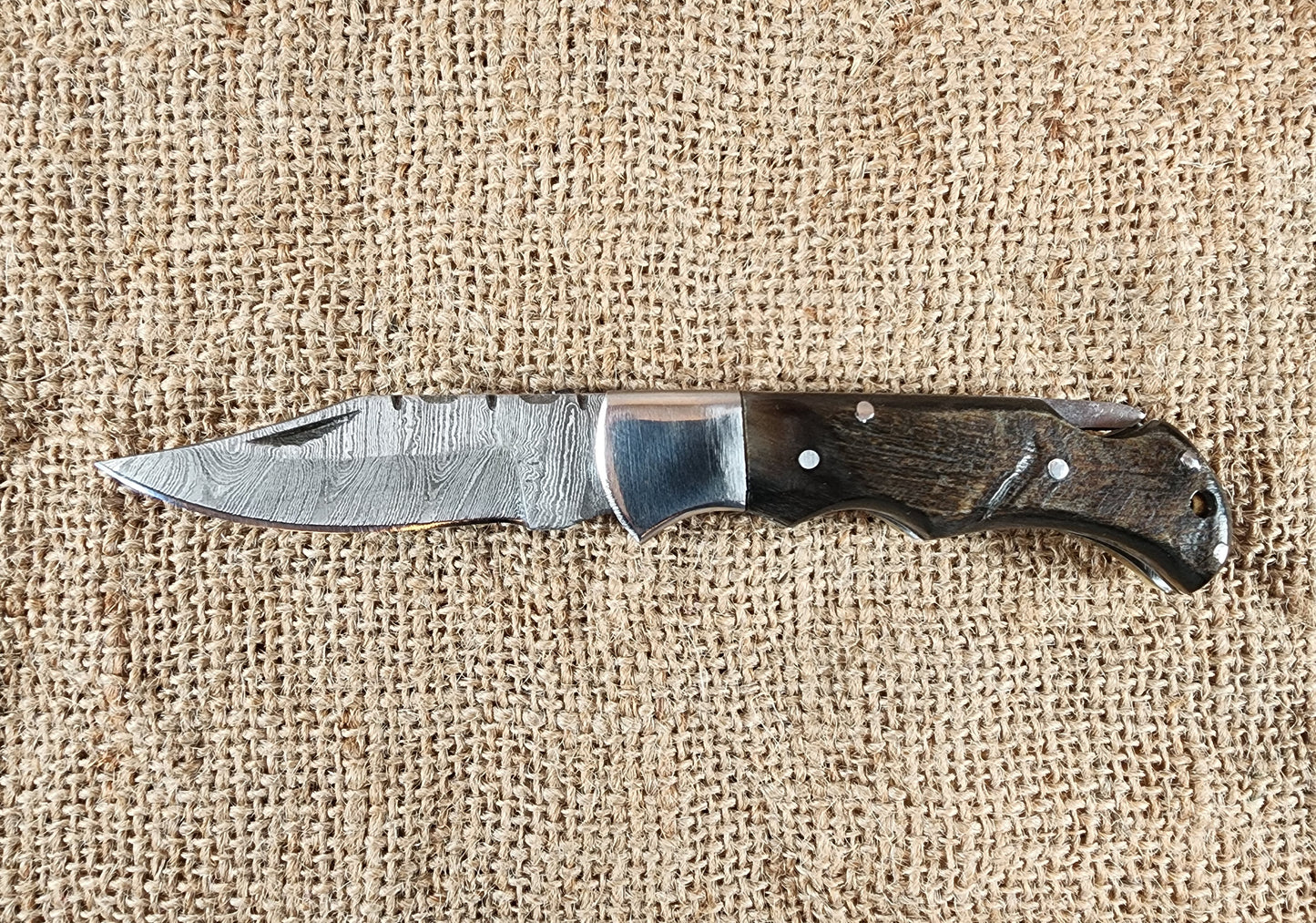 2 7/8" Ram Horn Damascus Folding Knife #59
