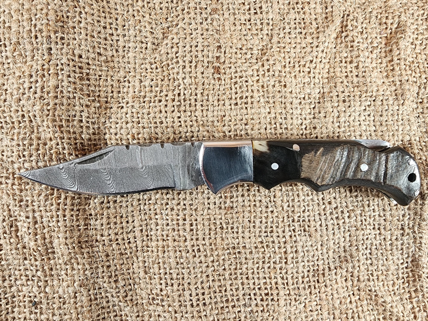 2 7/8" Ram Horn Damascus Folding Knife #68