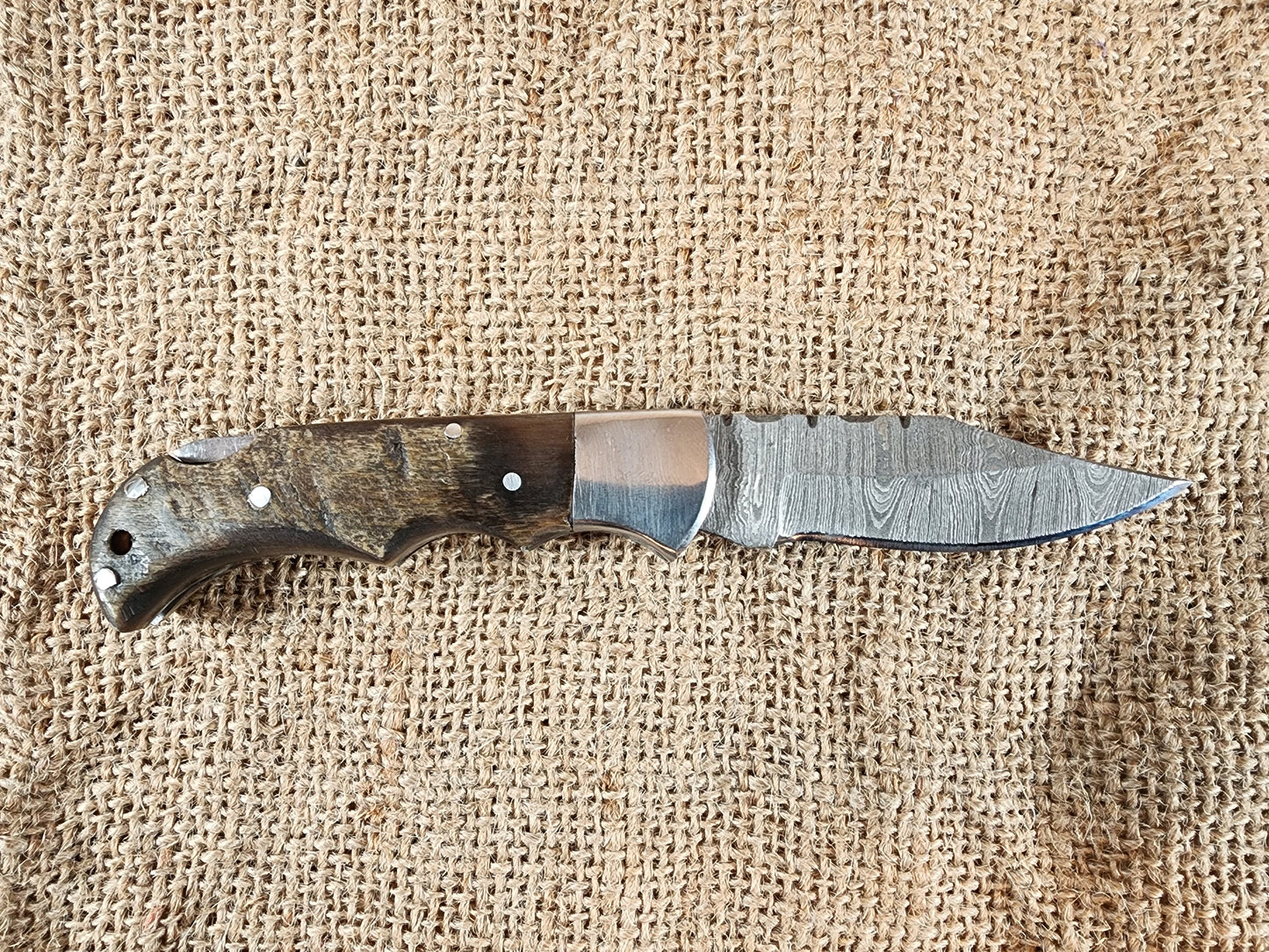 2 7/8" Ram Horn Damascus Folding Knife #61