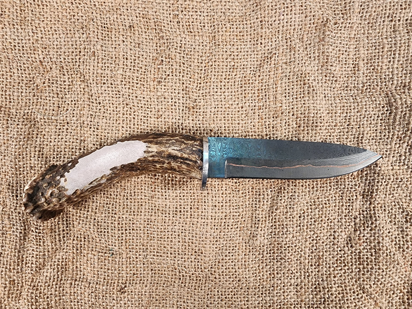 5" COPPER Damascus Gun Blue Drop Point