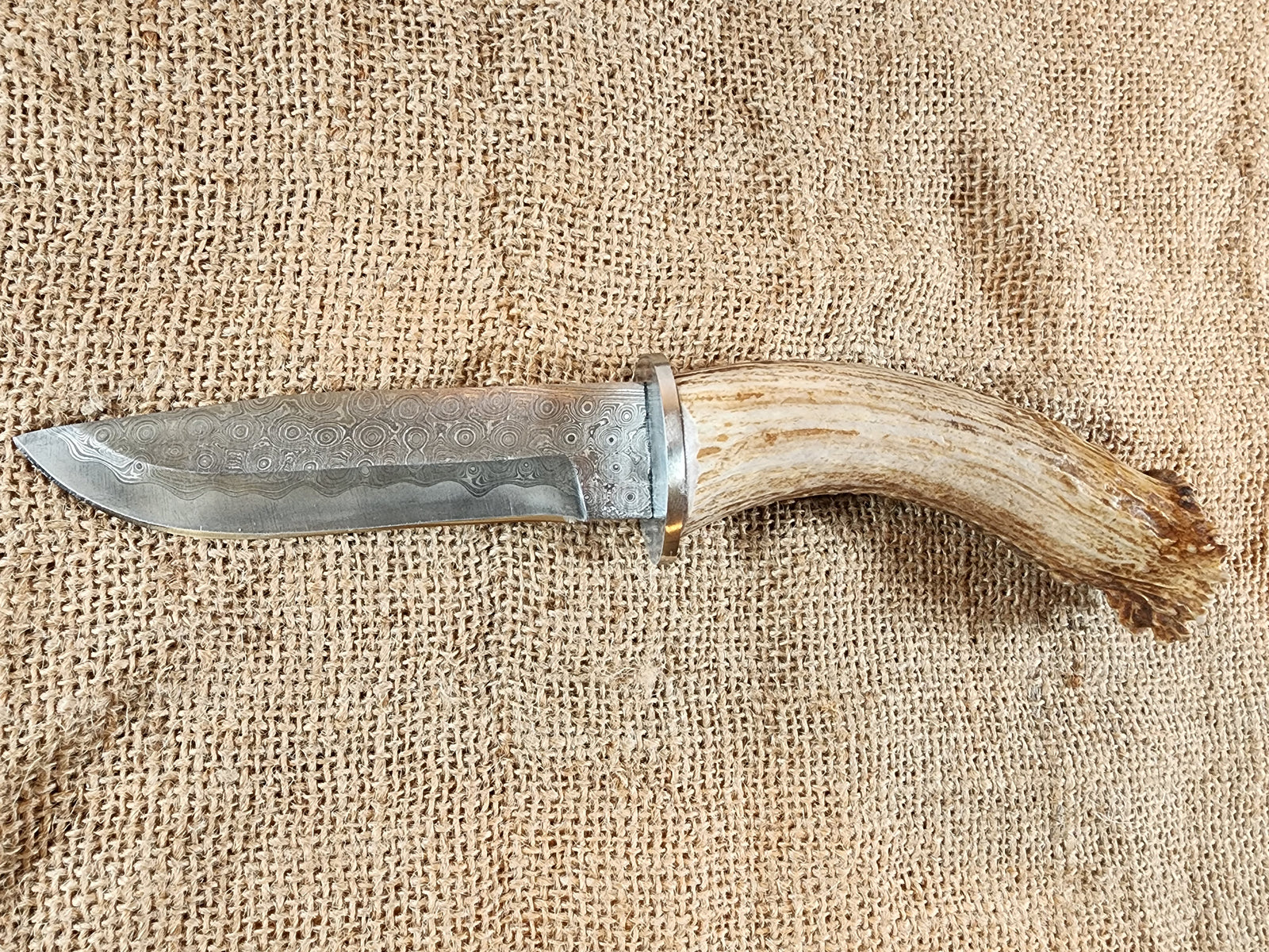 5" Damascus Drop Point #54
