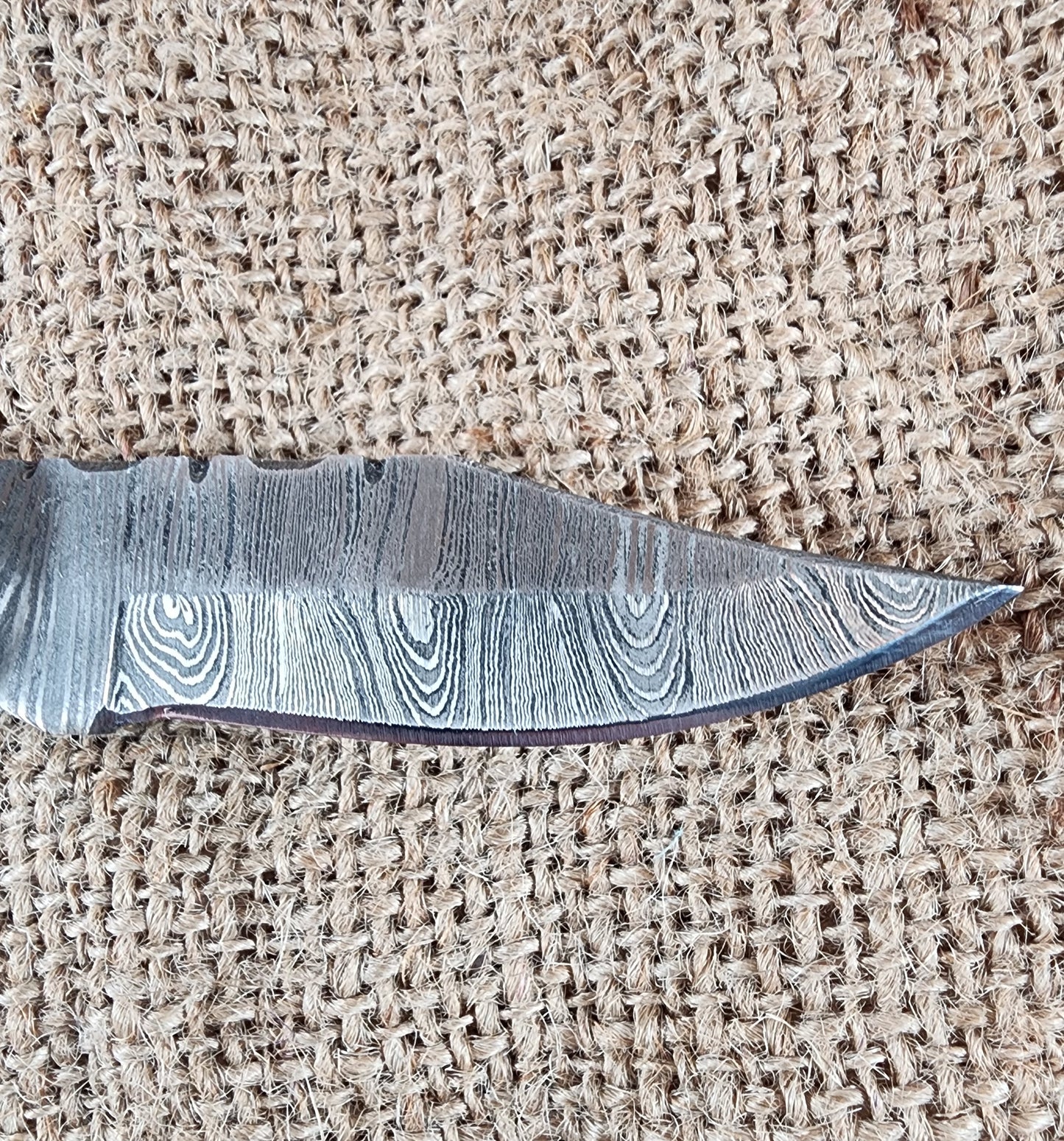 2 7/8" Ram Horn Damascus Folding Knife #71