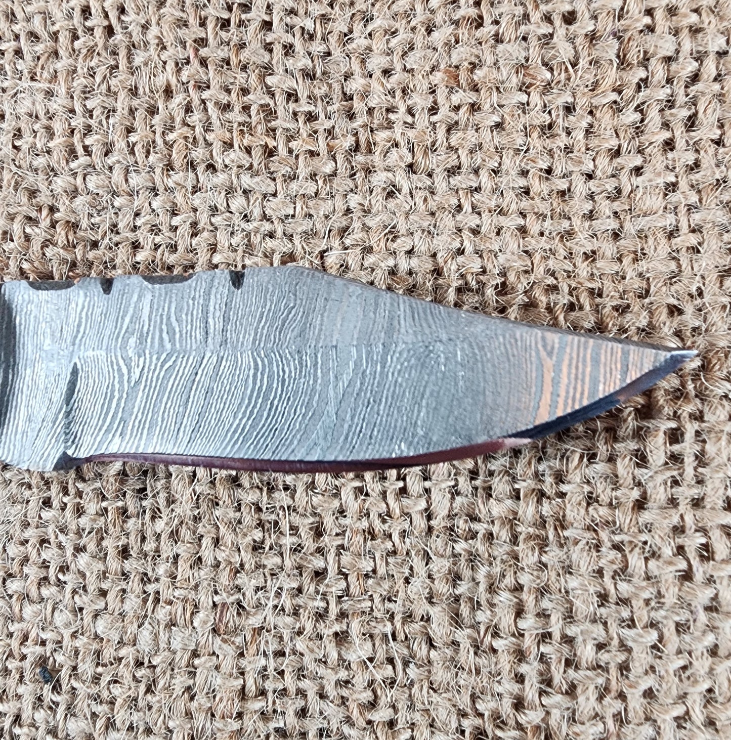 2 7/8" Ram Horn Damascus Folding Knife #83