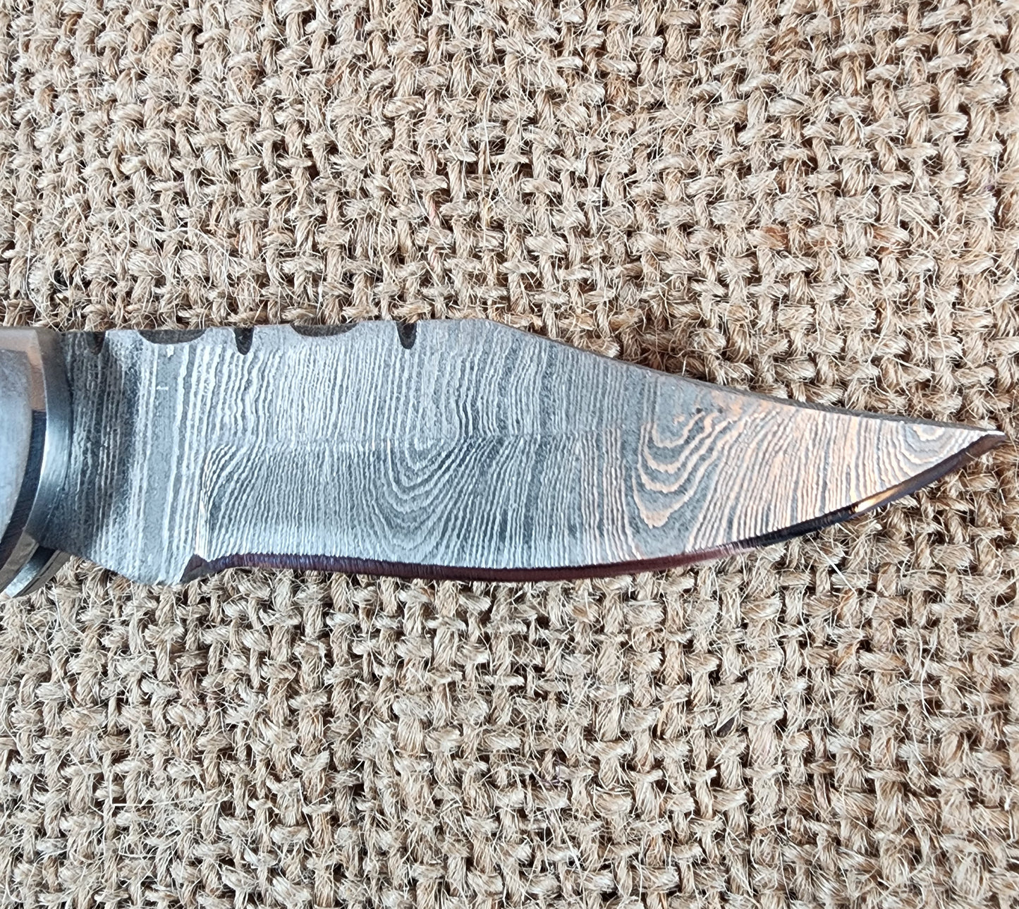 2 7/8" Ram Horn Damascus Folding Knife #62