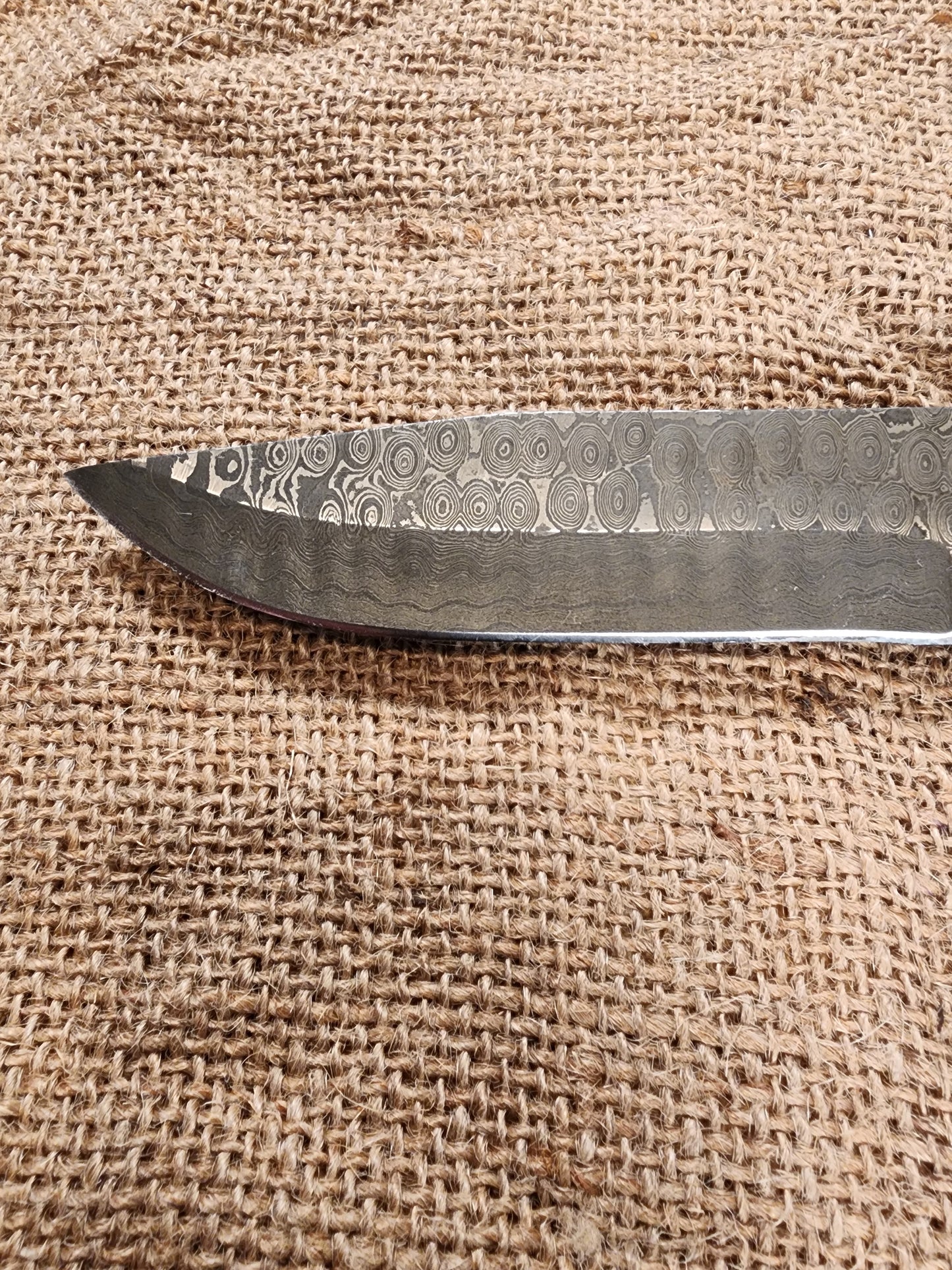 5" Damascus Drop Point #123