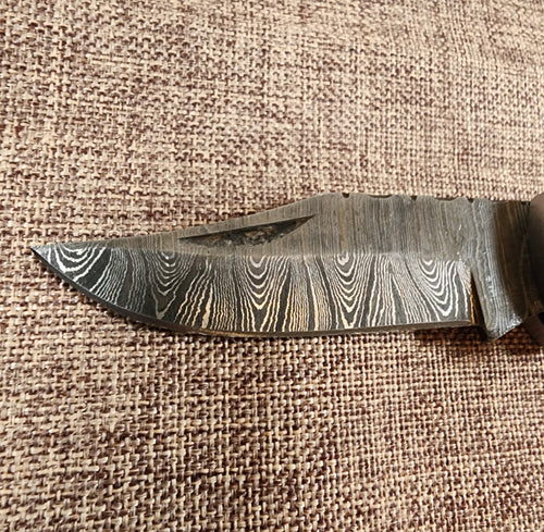 3" Ram Horn Damascus Folder H06