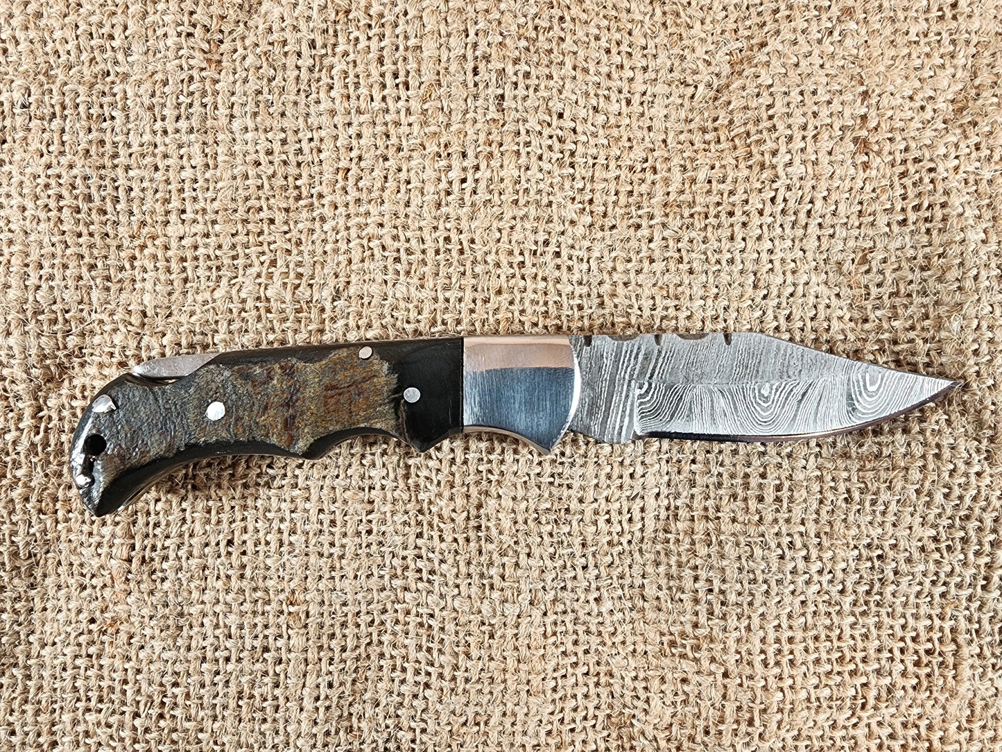 2 7/8" Ram Horn Damascus Folding Knife #60