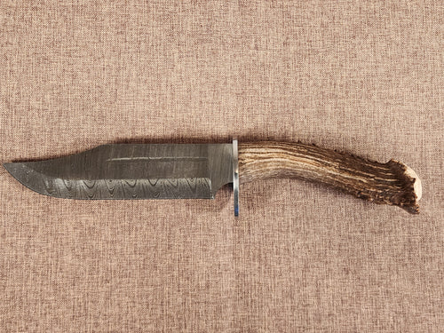 8" Damascus Bowie G801