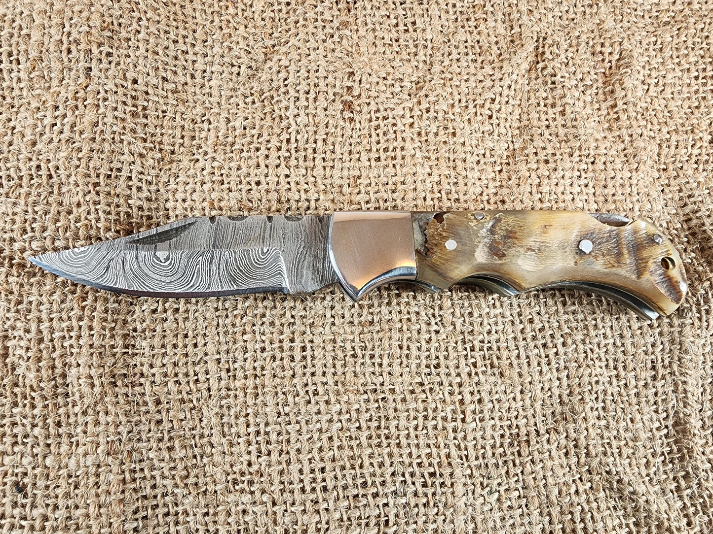 2 7/8" Ram Horn Damascus Folding Knife #77