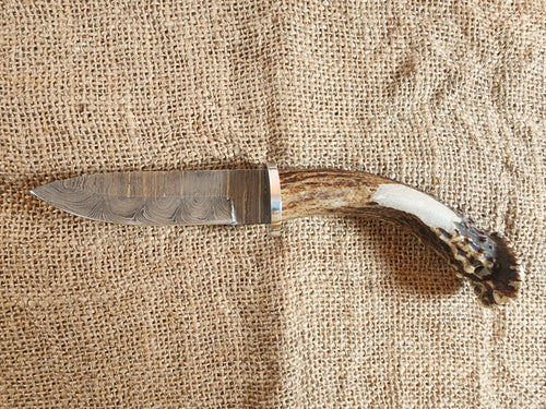 4" Damascus Drop Point #41