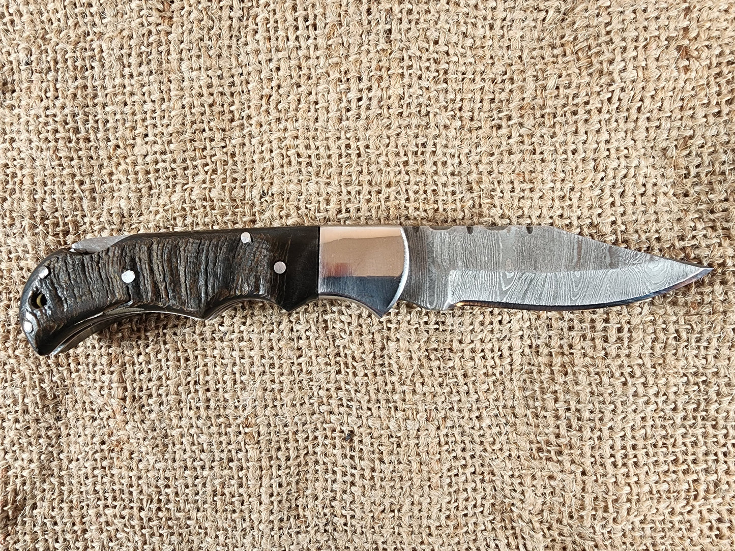 2 7/8" Ram Horn Damascus Folding Knife #70