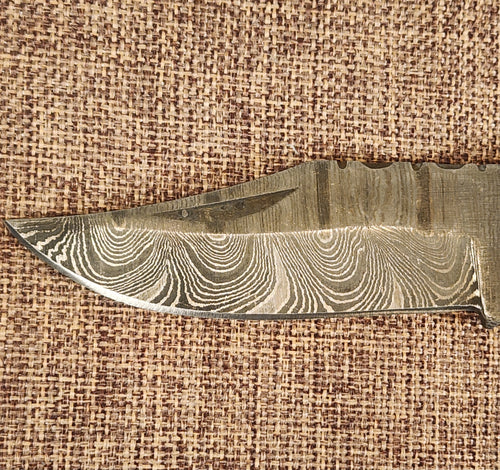 3" Ram Horn Damascus Folder H07