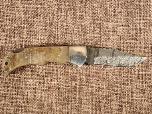 3" Ram Horn Damascus Folder H07