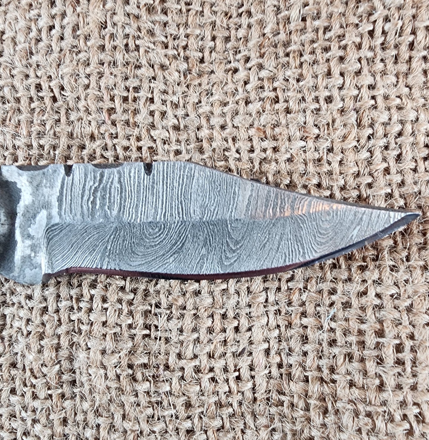 2 7/8" Ram Horn Damascus Folding Knife #69