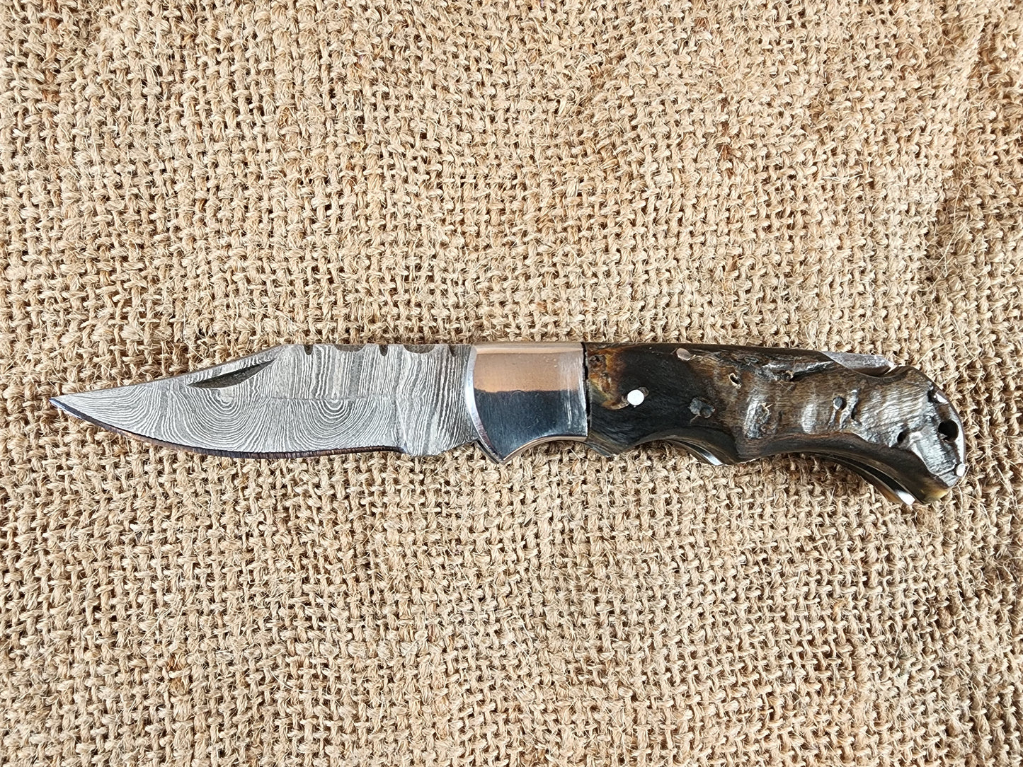 2 7/8" Ram Horn Damascus Folding Knife #62