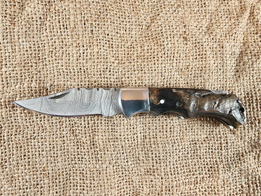 2 7/8" Ram Horn Damascus Folding Knife #62
