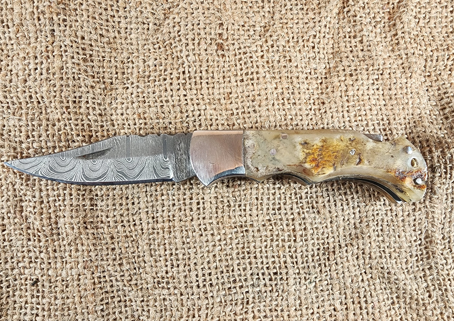 2 7/8" Ram Horn Damascus Folding Knife #73