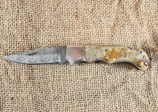 2 7/8" Ram Horn Damascus Folding Knife #73