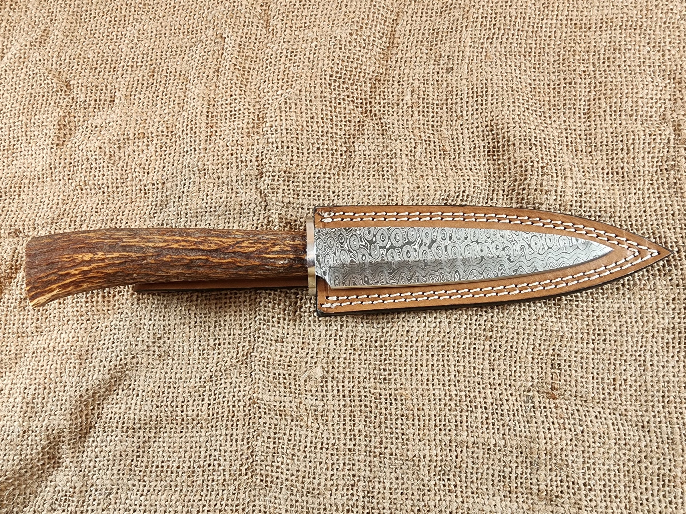 6" Damascus Field Scalpel #79