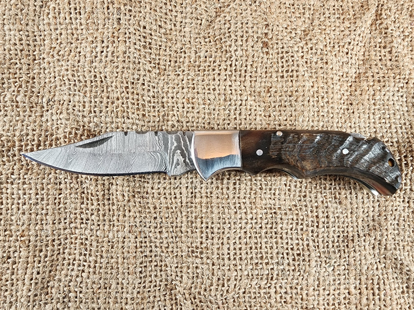 2 7/8" Ram Horn Damascus Folding Knife #65