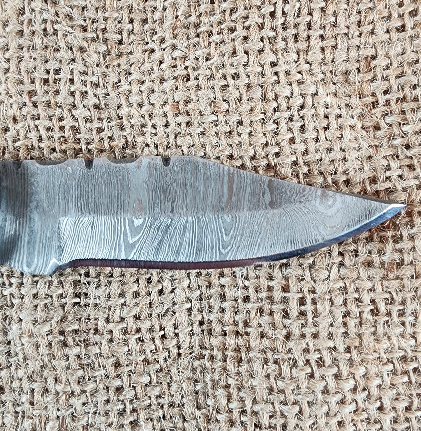 2 7/8" Ram Horn Damascus Folding Knife #70