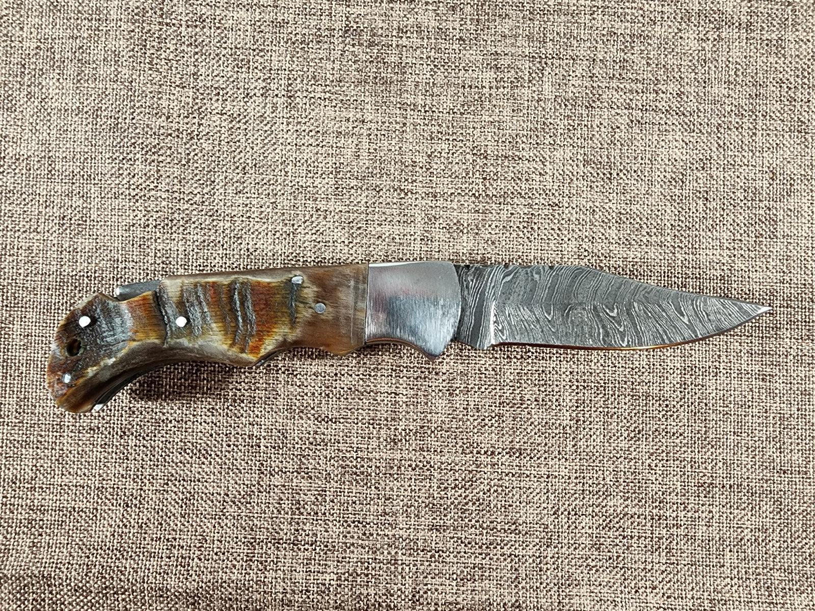 Ram Horn Damascus Folder #143