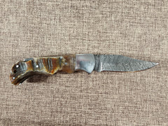 Ram Horn Damascus Folder #143