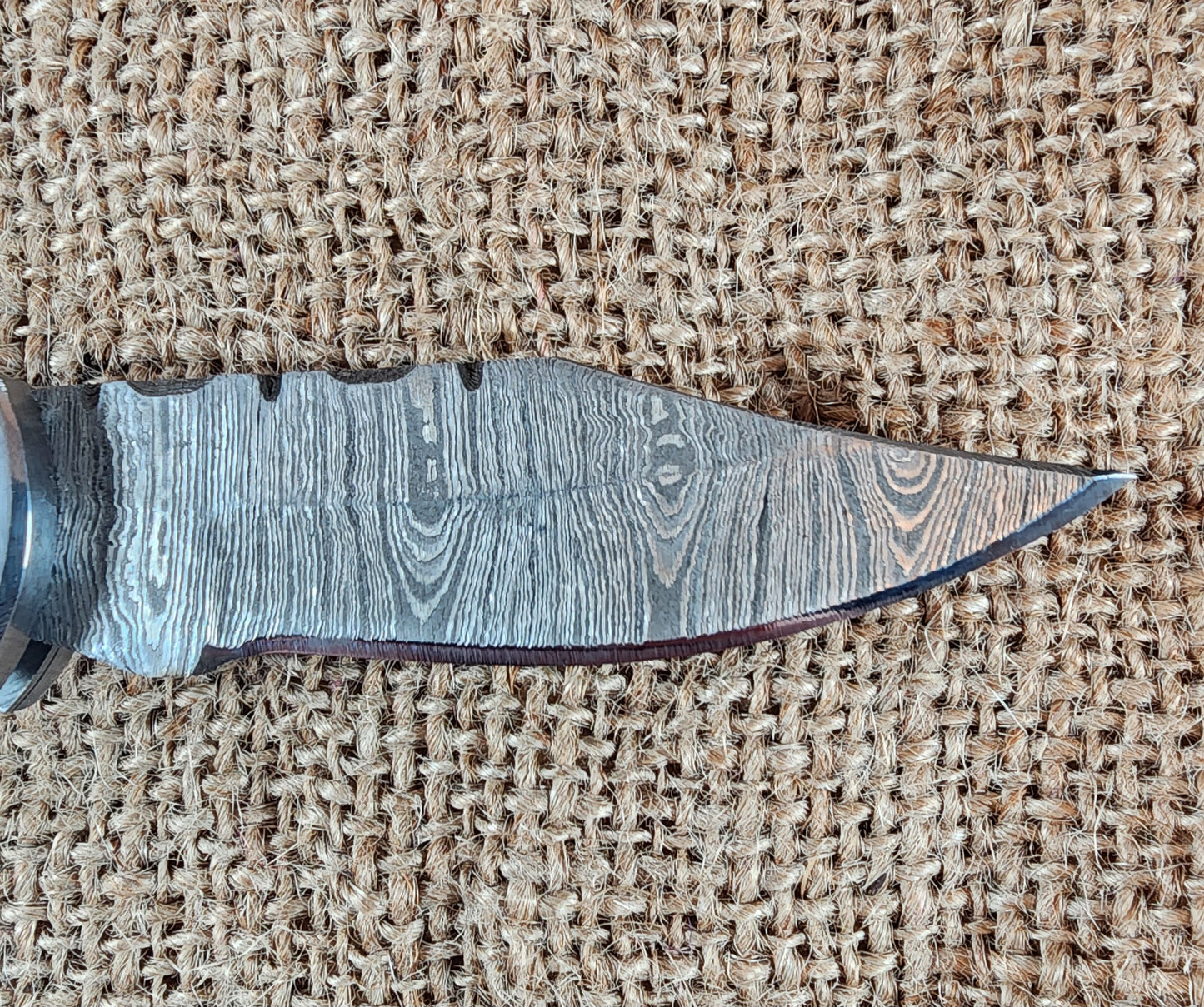 2 7/8" Ram Horn Damascus Folding Knife #61