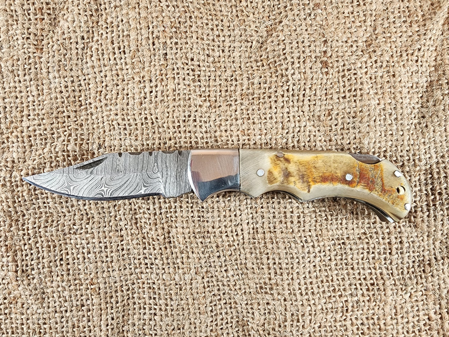 2 7/8" Ram Horn Damascus Folding Knife #61