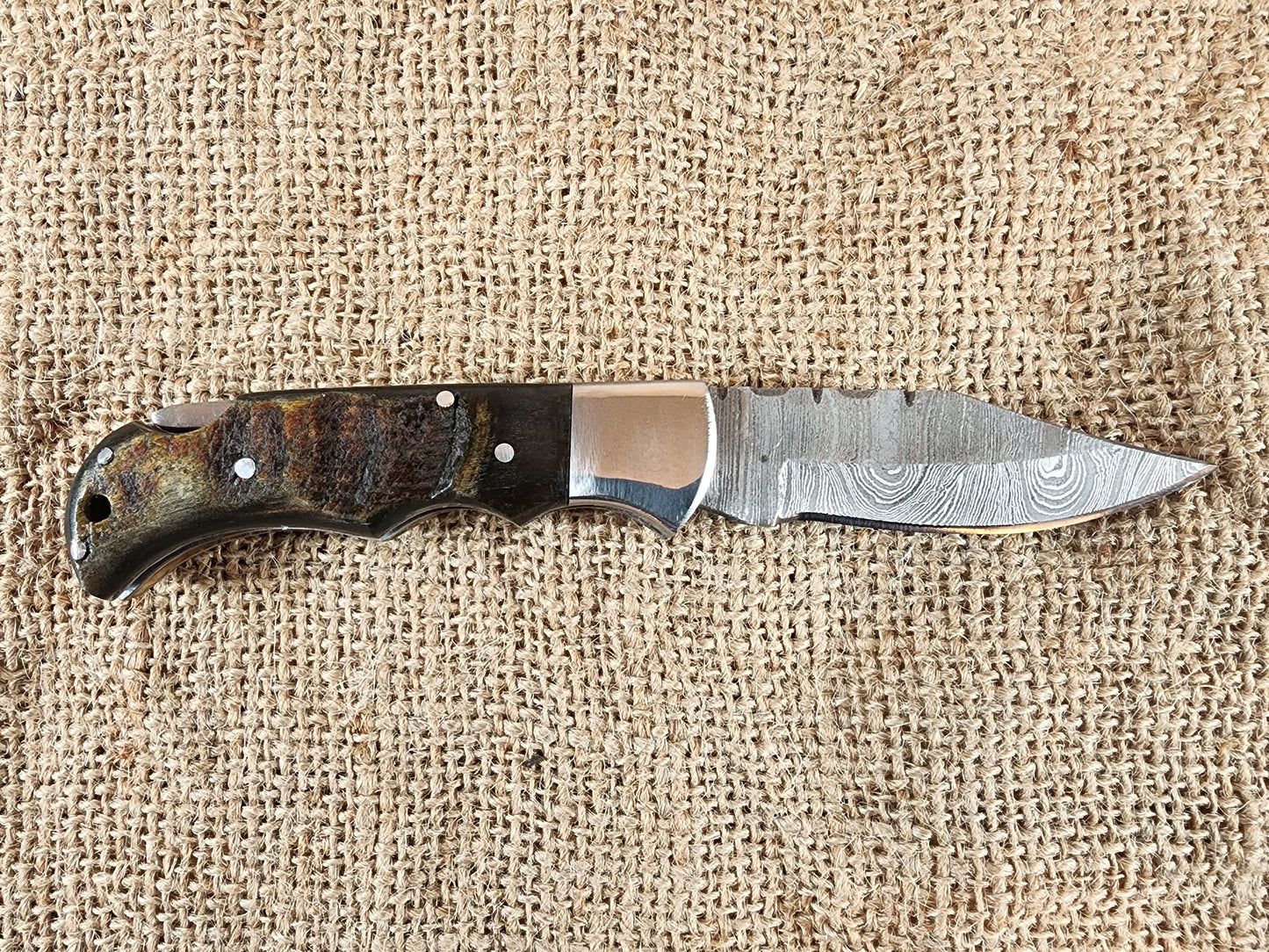 2 7/8" Ram Horn Damascus Folding Knife #74